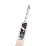 Tusk Stan English Cricket Bat