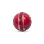 Tusk Club Cricket Leather Ball