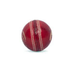 Tusk Tournament Cricket Leather Ball