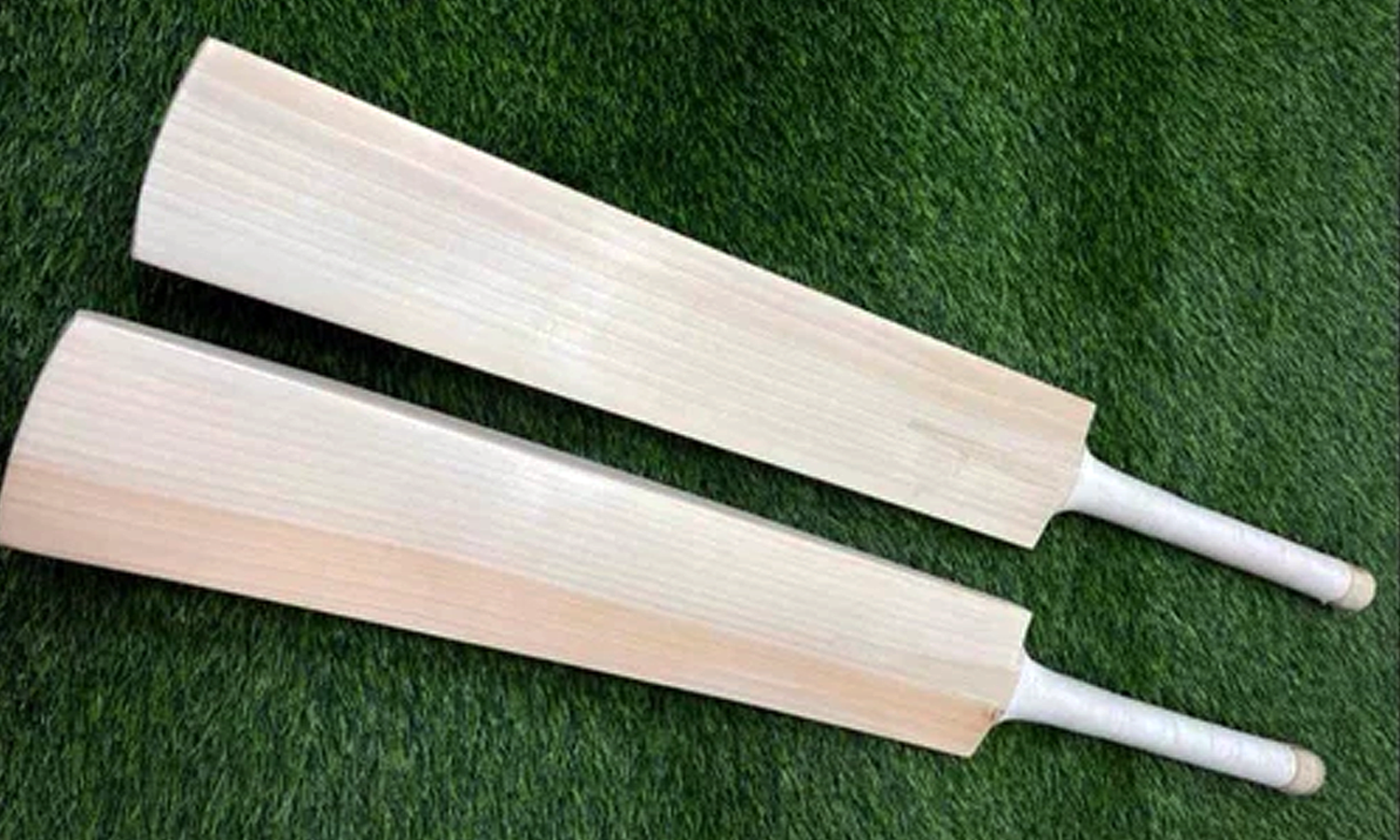 Tusk English Willow vs Kashmir Willow